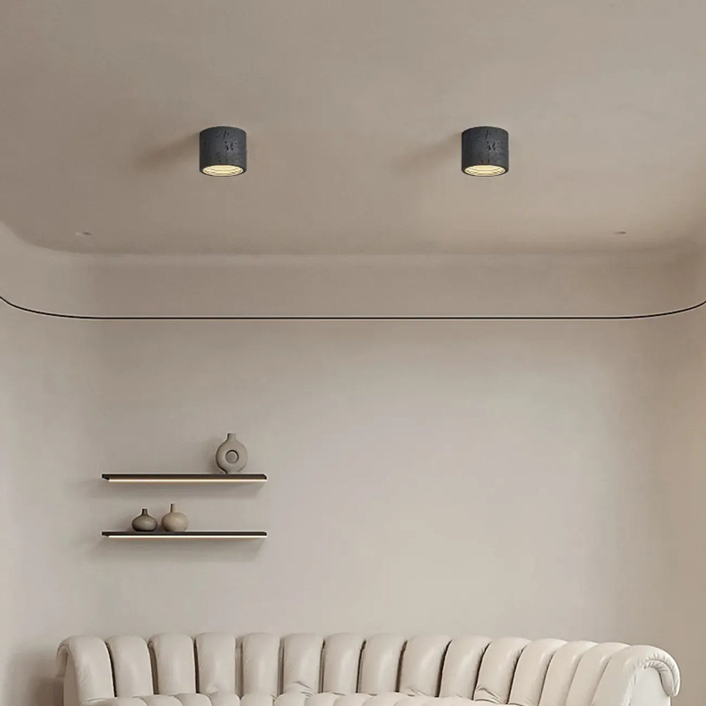 Dimmable Cylinder Flush Mount Ceiling Light for Indoor Use