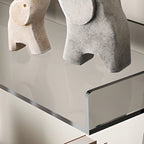 Black Plastic Leaning Ladder Bookcase with 4-Shelves