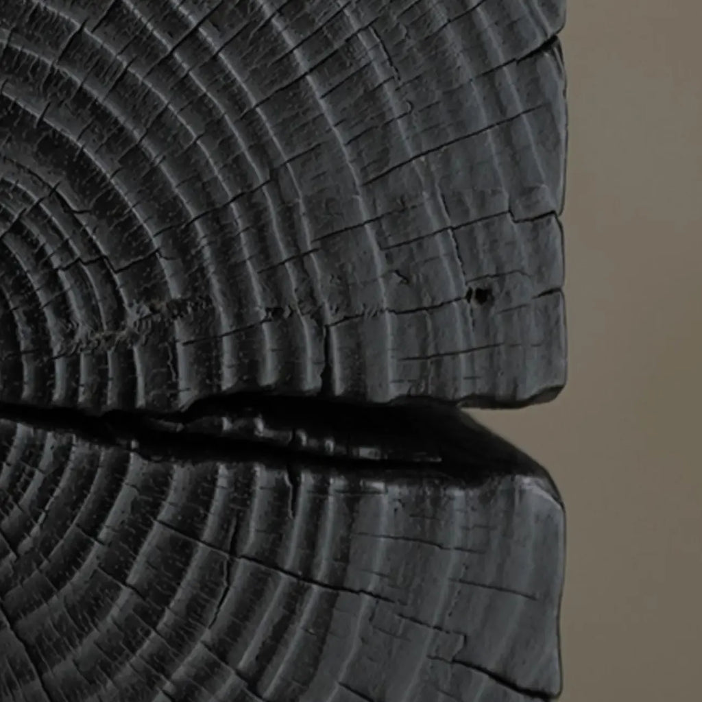 Modern Black Pine Wooden Square Stump End Table