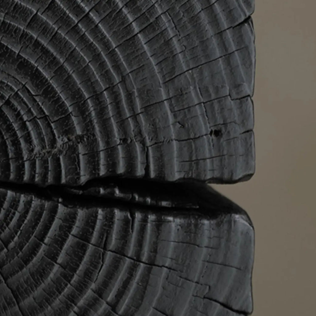 Modern Black Pine Wooden Square Stump End Table
