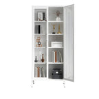 Modern Metal Glass Door Cabinet for Office Storage
