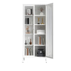 Modern Metal Glass Door Cabinet for Office Storage