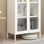 Modern Metal Glass Door Cabinet for Office Storage