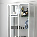 Black Metal Frame Glass Shelves Curio Cabinet
