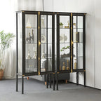 Black Metal Glass Shelves Display Cabinet with Lights