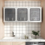 Stainless Steel Wall-Mounted Display Cabinet with Storage