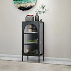2-Shelf Black Metal Frame Glass Door Display Cabinet
