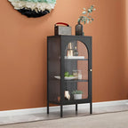 2-Shelf Black Metal Frame Glass Door Display Cabinet
