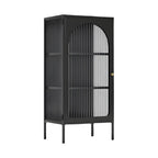 2-Shelf Black Metal Frame Glass Door Display Cabinet