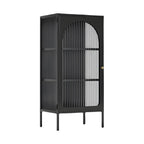 2-Shelf Black Metal Frame Glass Door Display Cabinet